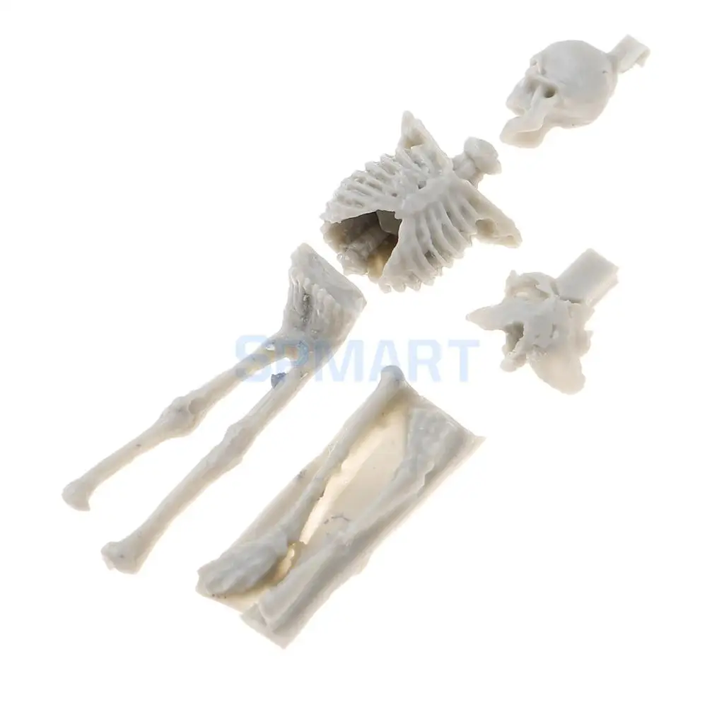 MagiDeal Unassembly Unpainted Kit 1/35 Scale Resin Skull Skeleton Model Mini Sand Table Scene for Friend Birthday Gift
MagiDeal Unassembly Unpainted Kit 1/35 Scale Resin Skull Skeleton Model Mini Sand Table Scene for Friend Birthday Gift