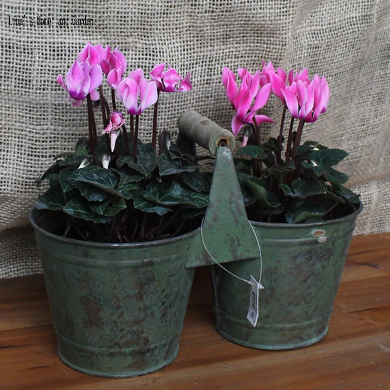retro antique metal handcrafted double flower pot with handle (3)