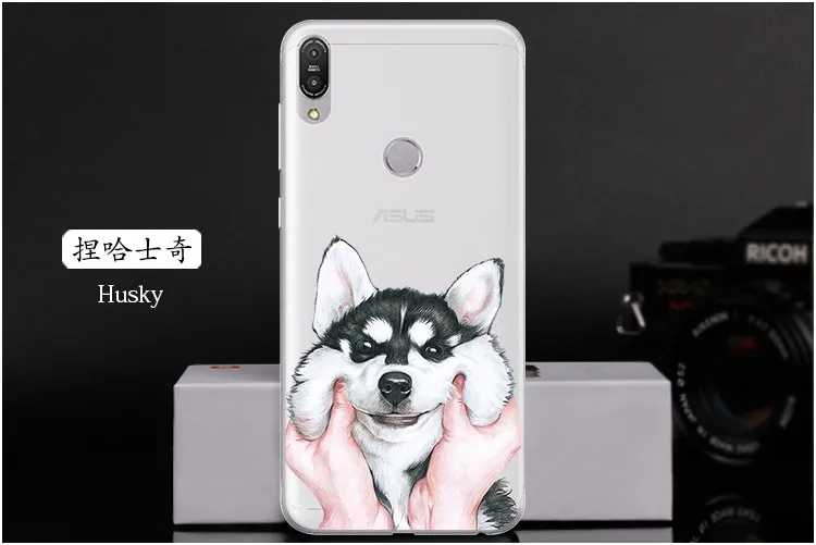Husky