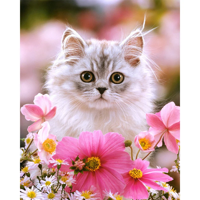 Megayouput 5D diy diamond painting Cross Stitch 3d Diamond Embroidery mosaic pattern Cat animals picture home decor gift
Megayouput 5D diy diamond painting Cross Stitch 3d Diamond Embroidery mosaic pattern Cat animals picture home decor gift
