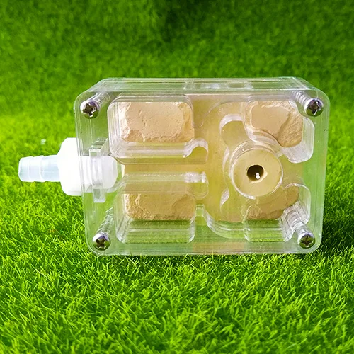 CWXTGS 1PCS Facet No. 1 Acrylic Moisturizing Ant Nest Pet Ant Castle Ant Workshop Homeland
CWXTGS 1PCS Facet No. 1 Acrylic Moisturizing Ant Nest Pet Ant Castle Ant Workshop Homeland