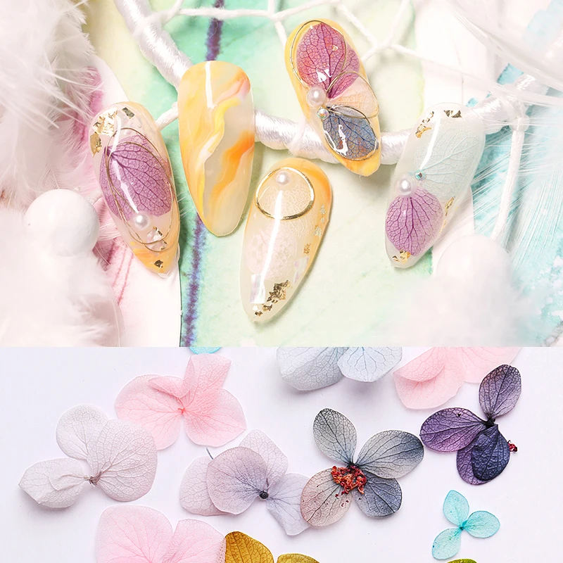 1 Bag Dry Flowers For Nails 3D Dry Hydrangea Flower Nail Art Decorations Beauty Gel Nail Polish Accessories for Nail Design
1 Bag Dry Flowers For Nails 3D Dry Hydrangea Flower Nail Art Decorations Beauty Gel Nail Polish Accessories for Nail Design