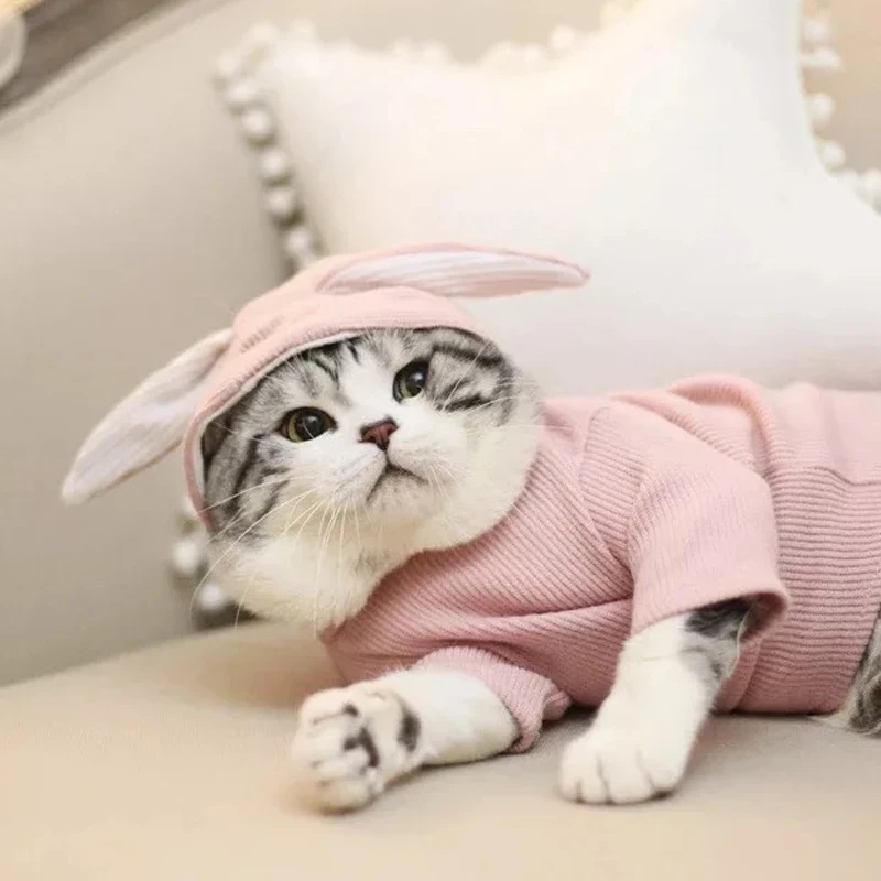 Cute Cat Costumes Winter Warm Cat Clothes For Small Cats Clothing Kitten Kitty Coat Jacket Pet Dog Clothes XS-XXL
Cute Cat Costumes Winter Warm Cat Clothes For Small Cats Clothing Kitten Kitty Coat Jacket Pet Dog Clothes XS-XXL