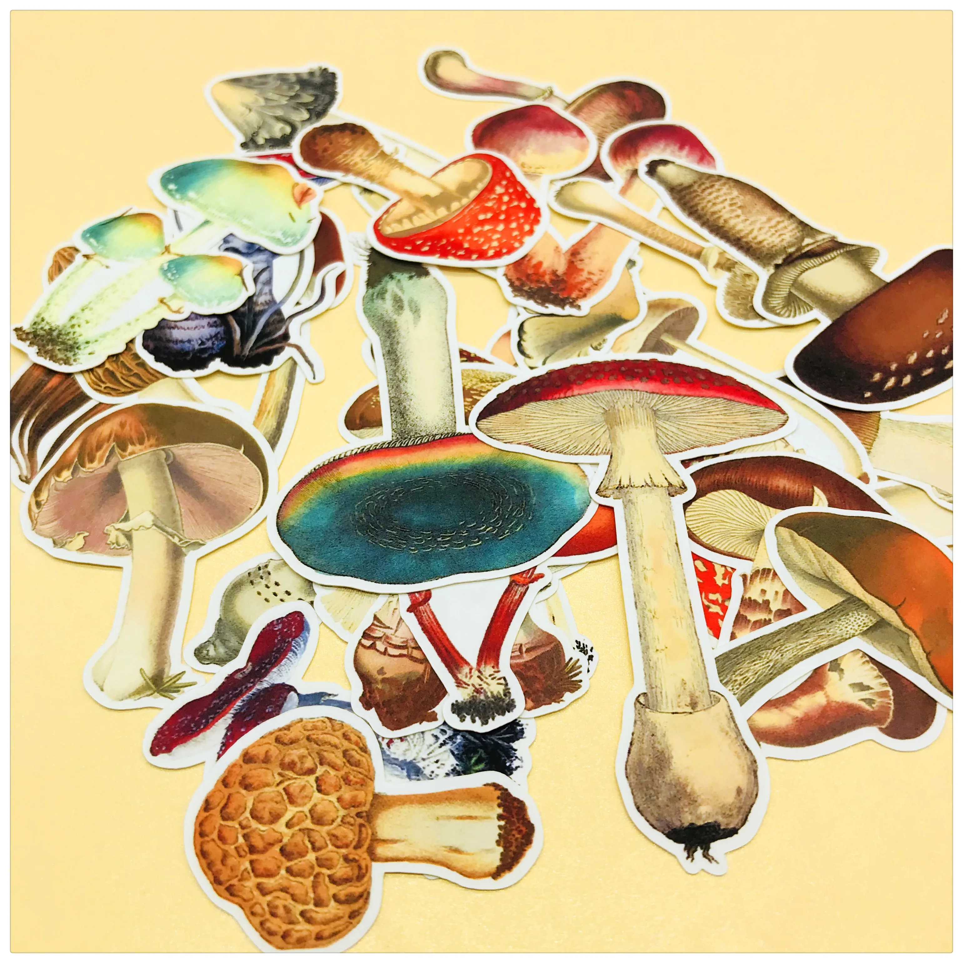 DIY vintage color mushroom stickers watercolor hand-painted scrapbook album notebook diary card decoration stickers
DIY vintage color mushroom stickers watercolor hand-painted scrapbook album notebook diary card decoration stickers