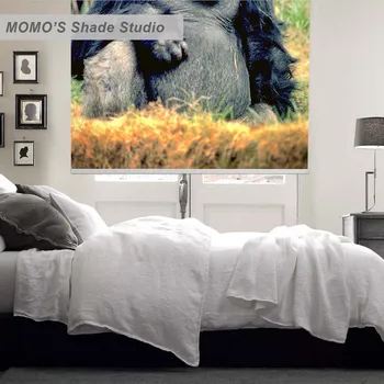 MOMO Roller Blinds Painting Window Blinds Shades Blackout Zebra Blinds Fabric Roller Shutter Curtains Custom Size,PRB set101
MOMO Roller Blinds Painting Window Blinds Shades Blackout Zebra Blinds Fabric Roller Shutter Curtains Custom Size,PRB set101