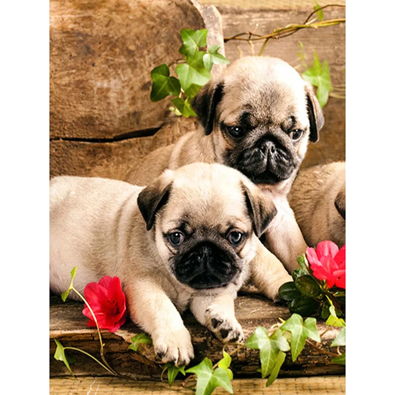 round full drill diamond embroidery needlework cross stitch set diamond painting wall picture painting cute puppy and roses KBL
round full drill diamond embroidery needlework cross stitch set diamond painting wall picture painting cute puppy and roses KBL