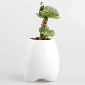 Balcony Tabletop Zakka Succulent Plant Decorative Ceramic Planter Pot DIY Fleshy Teeth Shape White Mini Small Ceramic Flower Pot
Balcony Tabletop Zakka Succulent Plant Decorative Ceramic Planter Pot DIY Fleshy Teeth Shape White Mini Small Ceramic Flower Pot