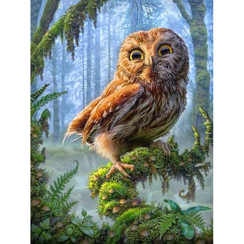 Full square/Round Diamond Painting Cross Stitch forest owl 3d mosaic kits Diamond Embroidery home Decor gift
Full square/Round Diamond Painting Cross Stitch forest owl 3d mosaic kits Diamond Embroidery home Decor gift