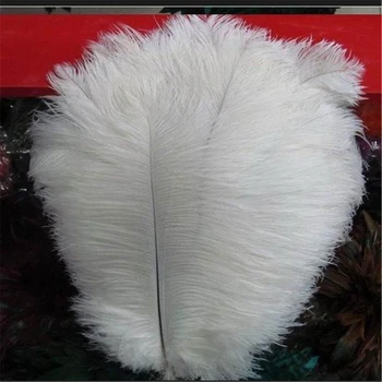 14-16 inch/35-40 cm ostrich feather fluffy ostrich plumage wedding centerpieces carnival party supply hotel home decoration
14-16 inch/35-40 cm ostrich feather fluffy ostrich plumage wedding centerpieces carnival party supply hotel home decoration