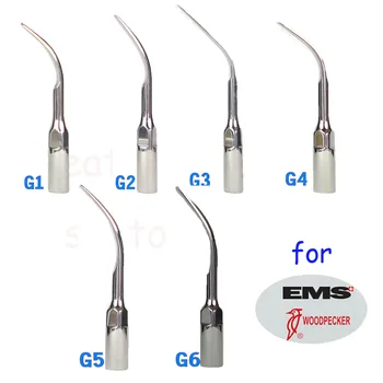 6 pcs/set Dental Ultrasonic Scaler Tips G1 G2 G3 G4 G5 G6 Fit for Woodpecker/ EMS/ UDS/ SYBRON-ENDO Series Lab Equipment
6 pcs/set Dental Ultrasonic Scaler Tips G1 G2 G3 G4 G5 G6 Fit for Woodpecker/ EMS/ UDS/ SYBRON-ENDO Series Lab Equipment