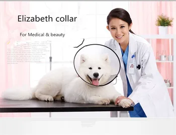 M22 Transparent Large Dog Cats Protection Cover Wound Healing Medical Protective Neck Collar Anti-Bite Beauty Shower Collar
M22 Transparent Large Dog Cats Protection Cover Wound Healing Medical Protective Neck Collar Anti-Bite Beauty Shower Collar