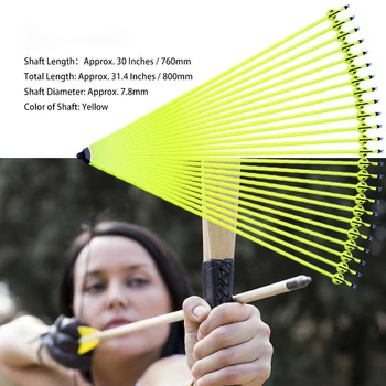 12 PCS Archery Hunting For Reverse /Compound Bow and Arrow or Long Bow Practice Practicing Arrow Carbon Arrows
12 PCS Archery Hunting For Reverse /Compound Bow and Arrow or Long Bow Practice Practicing Arrow Carbon Arrows