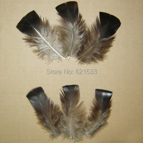 100Pcs/lot!7-10cm Natural Craft Wild Turkey Feathers for Fly Tying,Material,Jewelry,Supply,Hat,Deco,freeshipping
100Pcs/lot!7-10cm Natural Craft Wild Turkey Feathers for Fly Tying,Material,Jewelry,Supply,Hat,Deco,freeshipping