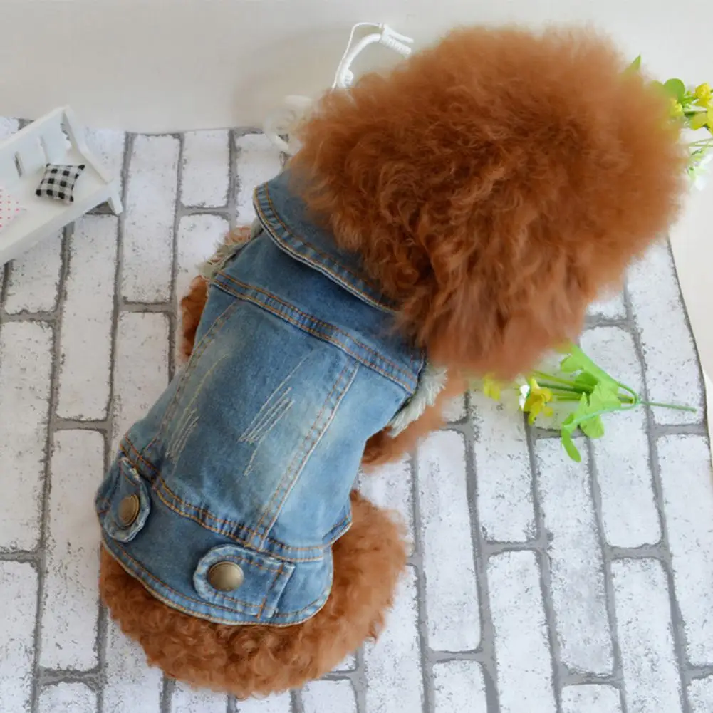 Hand-wash Dog Puppy Blue Cowboy Jean Costumes Cloth Short Sleeve Denim Vest Coat Jacket Lattice Clothes Outfits Pet Supplies
Hand-wash Dog Puppy Blue Cowboy Jean Costumes Cloth Short Sleeve Denim Vest Coat Jacket Lattice Clothes Outfits Pet Supplies