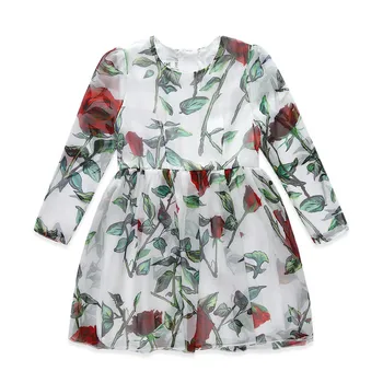 Roimyal Wholesale European and American style toddler girls Fashion Long Sleeve Chiffon printed flower Dress free shipping
Roimyal Wholesale European and American style toddler girls Fashion Long Sleeve Chiffon printed flower Dress free shipping