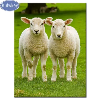 KUFWKEY 5d puzzle,resin,Diamond Painting Twin sheep Crystal Diamond Embroidery pair,Cross-Stitch,3D,Mosaic,Needlework,lambs art
KUFWKEY 5d puzzle,resin,Diamond Painting Twin sheep Crystal Diamond Embroidery pair,Cross-Stitch,3D,Mosaic,Needlework,lambs art