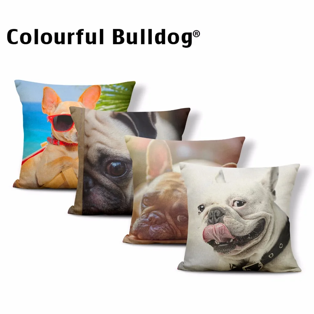Wholesale French Bulldog Wear Collar Throw Pillow Tongue out Cats Pug Cushion Christmas Hat Beach Palm Leaves Pillow Cover Decor
Wholesale French Bulldog Wear Collar Throw Pillow Tongue out Cats Pug Cushion Christmas Hat Beach Palm Leaves Pillow Cover Decor
