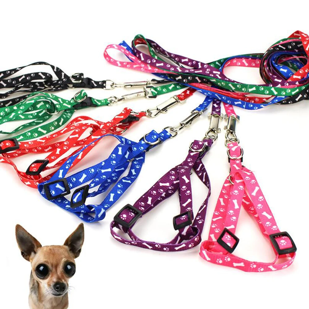 Printed Dog Leash Chest Strap for Small Medium Dogs Cats Polyester Width 1.0cm Cat Leash Rope
Printed Dog Leash Chest Strap for Small Medium Dogs Cats Polyester Width 1.0cm Cat Leash Rope