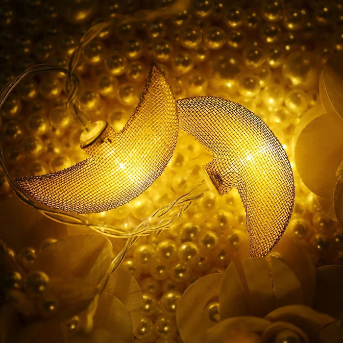50 Led Fairy Mesh Shape Gold Moon Battery Operated String Lights 5m LED Decoration For Christmas Garland lustre Wedding
50 Led Fairy Mesh Shape Gold Moon Battery Operated String Lights 5m LED Decoration For Christmas Garland lustre Wedding