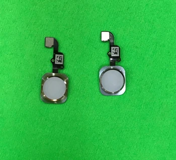 50pcs/lot Brand new high quality Home Button Flex cable For iPhone 6 6G 4.7" / 6+ 6plus Plus 5.5" inch Black White Gold Color
50pcs/lot Brand new high quality Home Button Flex cable For iPhone 6 6G 4.7" / 6+ 6plus Plus 5.5" inch Black White Gold Color