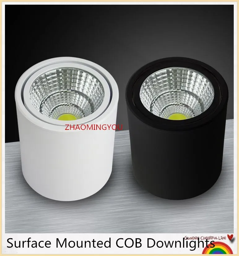 Surface mounted dimmable led COB downlight 6W 10W 15W 20W 25W 30W led lamp ceiling AC85-265V spot light with led driver
Surface mounted dimmable led COB downlight 6W 10W 15W 20W 25W 30W led lamp ceiling AC85-265V spot light with led driver
