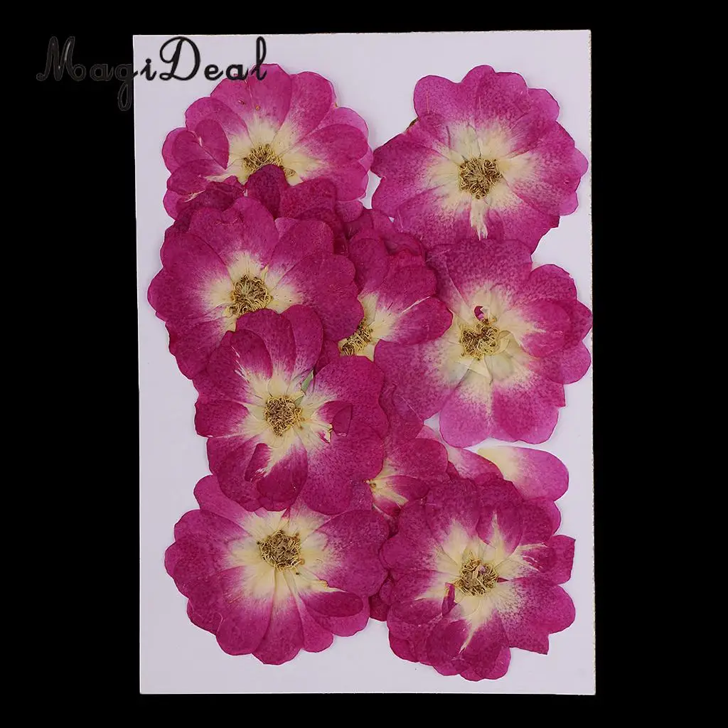 12 Pieces Chinese Rose Pressed Natural Dried Flower for DIY Resin Ornament Candle Making Decoration Purple 3-4cm
12 Pieces Chinese Rose Pressed Natural Dried Flower for DIY Resin Ornament Candle Making Decoration Purple 3-4cm