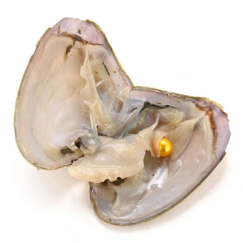 a-1 (36)