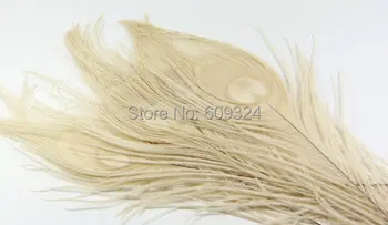 FREE SHIPPING 100 pcs 10-12inch ivory peacock feather dyed peacock feather for scrapbooking invitations crafts party decor
FREE SHIPPING 100 pcs 10-12inch ivory peacock feather dyed peacock feather for scrapbooking invitations crafts party decor