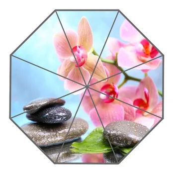 Nice Natural Pink Flower Umbrella Custom Sunny and Rainy Umbrella Design Portable Fashion Stylish Useful Umbrellas Good Gift 
Nice Natural Pink Flower Umbrella Custom Sunny and Rainy Umbrella Design Portable Fashion Stylish Useful Umbrellas Good Gift