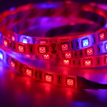 Hydroponice Full Spectrum LED Grow Lights 12V Growing LED Strip Plant Seedling Grow and Flower Growth Light LED Phyto Lamps
Hydroponice Full Spectrum LED Grow Lights 12V Growing LED Strip Plant Seedling Grow and Flower Growth Light LED Phyto Lamps