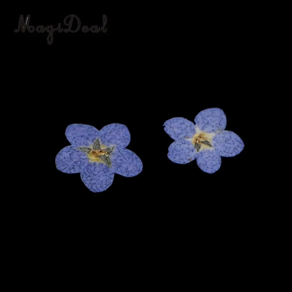 22pcs Mini Natural Dried Flowers Verbena Forget-me-not Embellishment for DIY Pendants Charms Nail Art Decoration