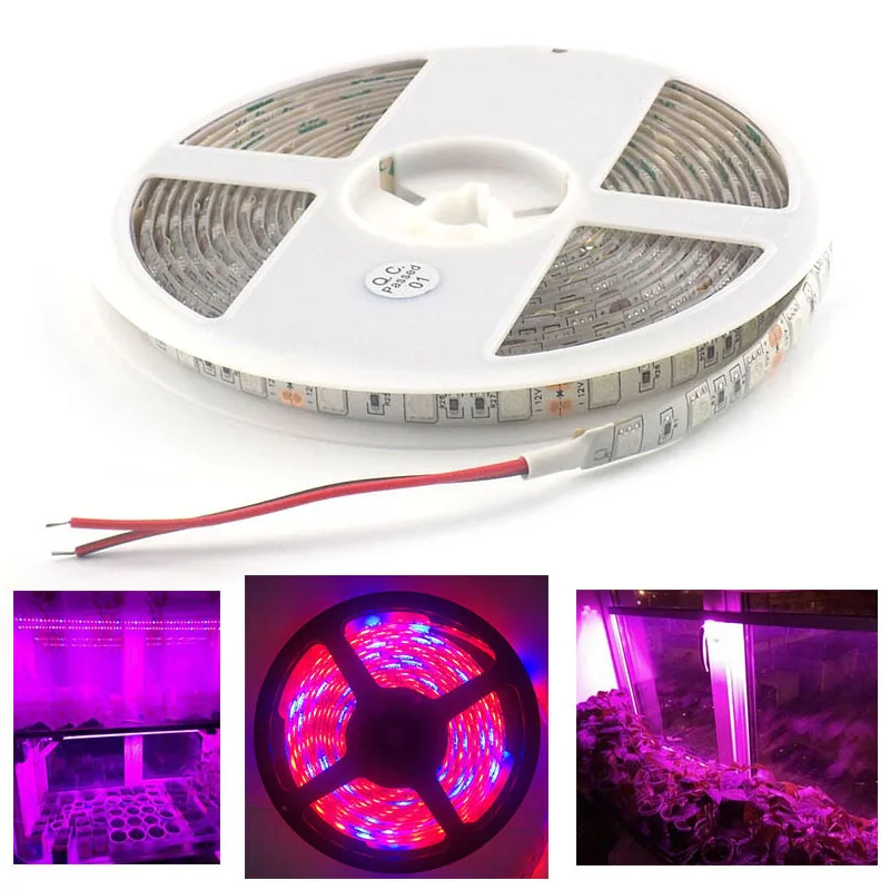 LED Plant Grow strip Light waterproof 1M DC 12V 5 red 1 blue 5050 Strip lamp for Aquarium Hydro system indoor Greenhouse Growing
LED Plant Grow strip Light waterproof 1M DC 12V 5 red 1 blue 5050 Strip lamp for Aquarium Hydro system indoor Greenhouse Growing
