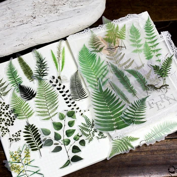 65PCS/DIY Scrapbooking Plant Stickers Vintage Plants Sulfuric Acid Fern Series Albums Project Happy planner Decoration Stickers
65PCS/DIY Scrapbooking Plant Stickers Vintage Plants Sulfuric Acid Fern Series Albums Project Happy planner Decoration Stickers