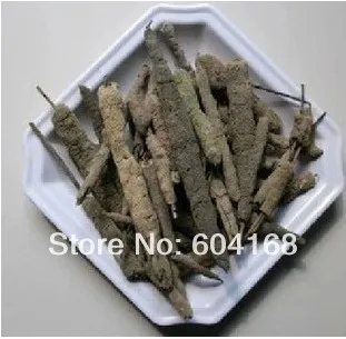 

Freshwater Sponge - purple flower tip-zi shao hua/ / Chinese Traditional Dry Herbs 500 G Free Shipping tea