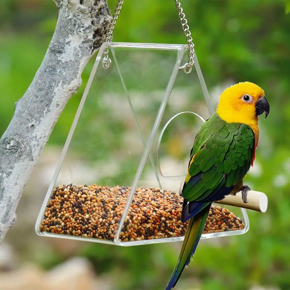 Acrylic Bird Food Box With Suction Cup Outdoor Hanging Transparent Triangular Bird House Bird Parrot Feeder
Acrylic Bird Food Box With Suction Cup Outdoor Hanging Transparent Triangular Bird House Bird Parrot Feeder