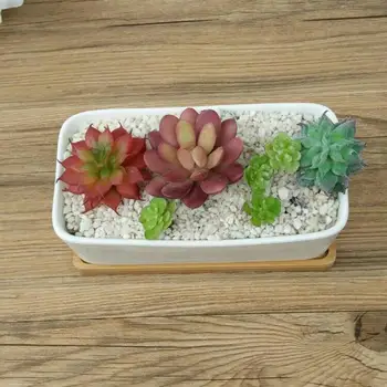 Decorative Mini White Rectangular Sucuulent Flower Pot White Cactus Plant Pot with Wooden Tray
Decorative Mini White Rectangular Sucuulent Flower Pot White Cactus Plant Pot with Wooden Tray