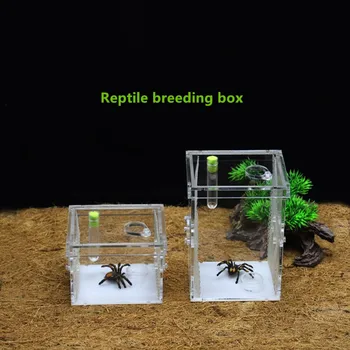 Removable Lid Clear Acrylic Reptile Moisturizing Feeding Box/ Worm Insect Breeding Box Insect
Removable Lid Clear Acrylic Reptile Moisturizing Feeding Box/ Worm Insect Breeding Box Insect