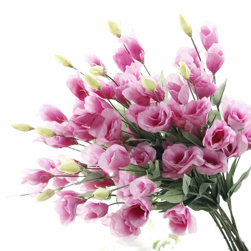 7 Heads Eustoma Silk Artificial Flowers for Wedding Home Decoration Flower Bouquet Fake Flower Branch 79cm
7 Heads Eustoma Silk Artificial Flowers for Wedding Home Decoration Flower Bouquet Fake Flower Branch 79cm