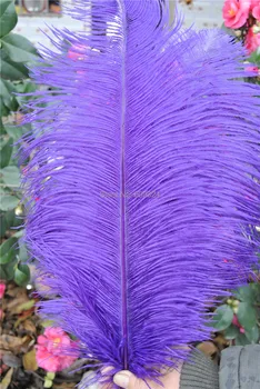 FREE SHIPPING -Wholesale purple Ostrich Feather Plume 20-22inch for Wedding Centerpieces wedding decor christmas decor
FREE SHIPPING -Wholesale purple Ostrich Feather Plume 20-22inch for Wedding Centerpieces wedding decor christmas decor