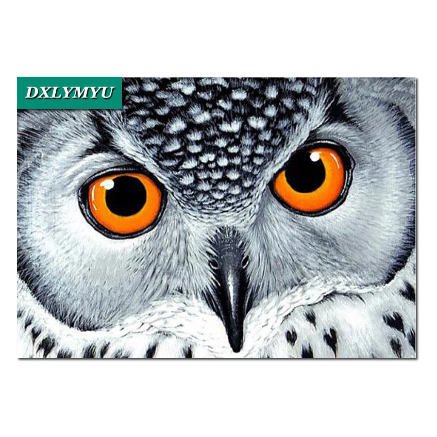 DIY 5D Diamond Mosaic Diamond Painting Cross Stitch Kit owl Diamonds Embroidery full Square Drill animal drawing Home Decoration
DIY 5D Diamond Mosaic Diamond Painting Cross Stitch Kit owl Diamonds Embroidery full Square Drill animal drawing Home Decoration