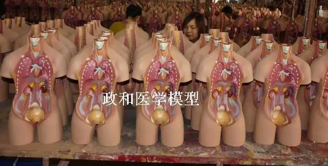 http://img04.taobaocdn.com/imgextra/i4/687093950/TB2Gx2yaXXXXXaPXXXXXXXXXXXX_!!687093950.jpg