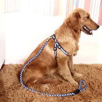 Reflective Nylon Dog Harness and Leash Set Puppy Adjustable Step-in Safty Noctilucent Harness Leash Durable Walking Leash 3 Size
Reflective Nylon Dog Harness and Leash Set Puppy Adjustable Step-in Safty Noctilucent Harness Leash Durable Walking Leash 3 Size