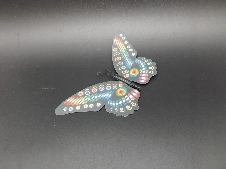 I199-Butterfly (6)