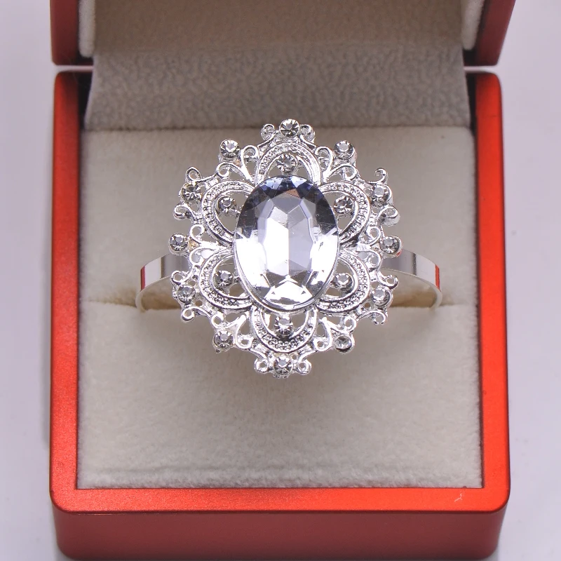 L0466-ring-1