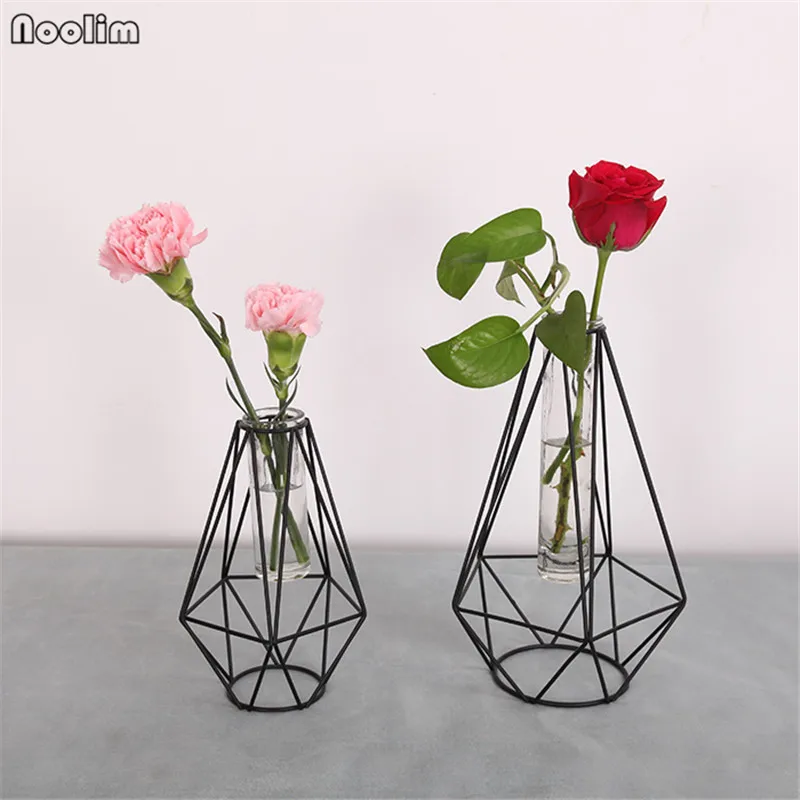 NOOLIM Minimalist Nordic Style Geometric Iron Glass Vase Scindapsus Hydroponic Dried Flower Stand Living Room Table Decor
NOOLIM Minimalist Nordic Style Geometric Iron Glass Vase Scindapsus Hydroponic Dried Flower Stand Living Room Table Decor