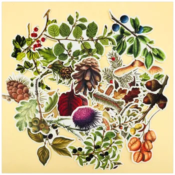 29pcs Pine cone fruit plant leaf decoration stationery sticker diy diary scrapbooking label sticker stationery
29pcs Pine cone fruit plant leaf decoration stationery sticker diy diary scrapbooking label sticker stationery