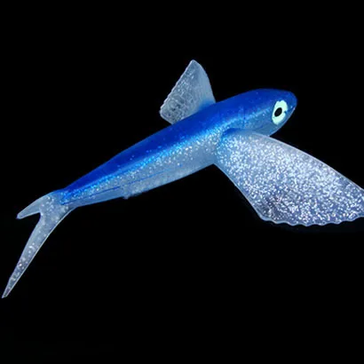 Artificial Baits Sea Fishing Lures PVC Big Fish Sealurer 125g/25cm Soft Lure Wings Fish Baits
Artificial Baits Sea Fishing Lures PVC Big Fish Sealurer 125g/25cm Soft Lure Wings Fish Baits
