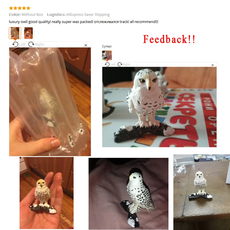 feedback