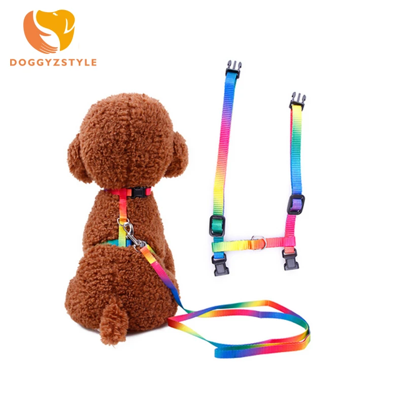 Polyester Cat Harness And Leash Set Pet Kitten Small Dogs Strap Colorful Belt Harnesses For Small Medium Large Cats DOGGYZSTYLE
Polyester Cat Harness And Leash Set Pet Kitten Small Dogs Strap Colorful Belt Harnesses For Small Medium Large Cats DOGGYZSTYLE
