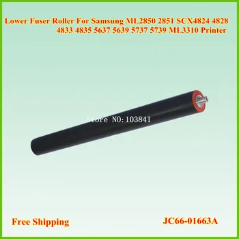 JC66-01663A Lower Fuser Roller Heat Roller For Samung ML2851 2850 2851 2855 SCX4828 SCX4824 4835 Printer
JC66-01663A Lower Fuser Roller Heat Roller For Samung ML2851 2850 2851 2855 SCX4828 SCX4824 4835 Printer